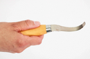 Hand holding a knife with a wooden handle on a white background