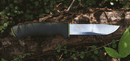 Morakniv made in Sweden Stainless Steel Bushcraft Forest Knife - Cardon Tools